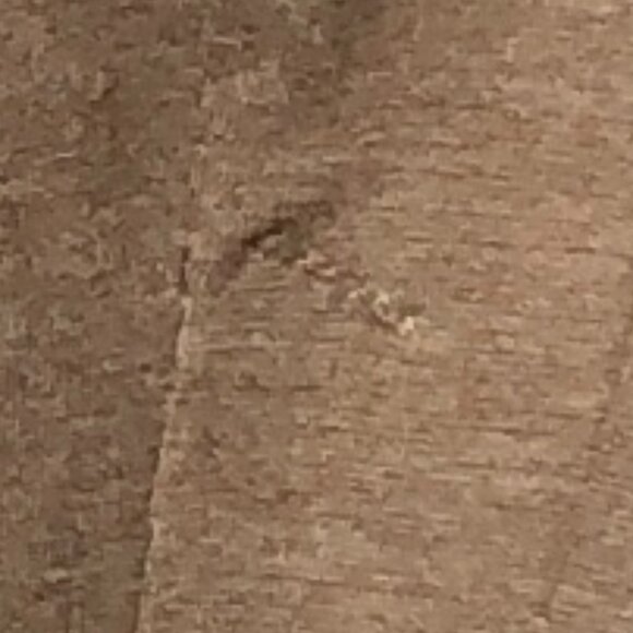 H&M brown fitted blazer - Size 2 - Picture 5 of 5